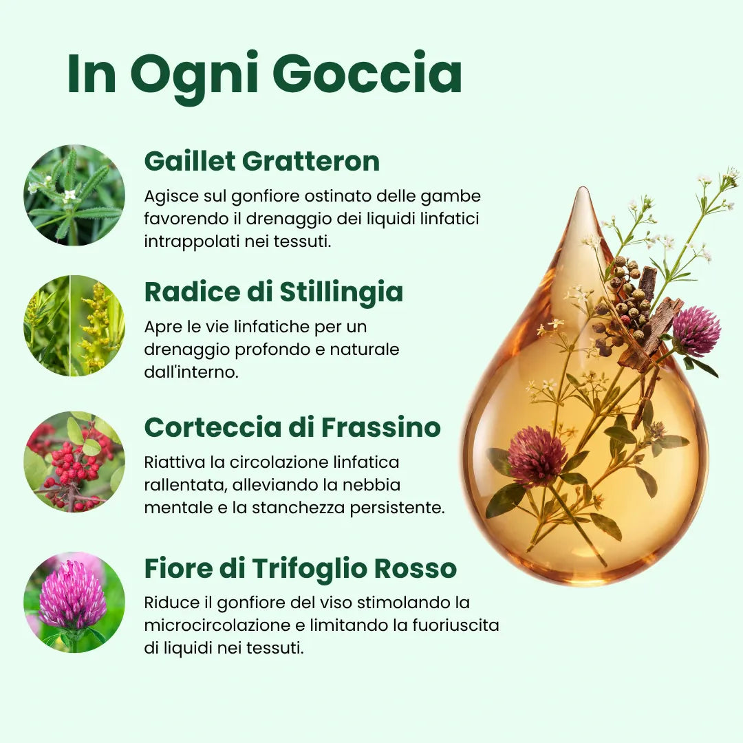 Drenaggio Linfatico